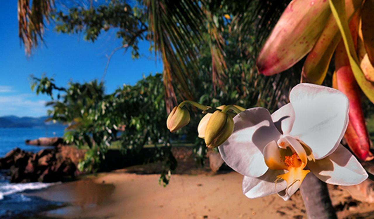 Paraty Marin Villa Exterior foto